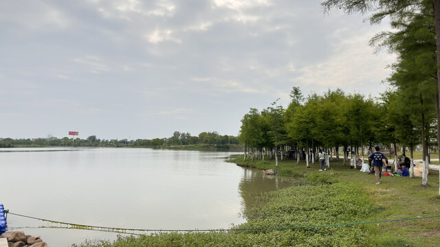 风景