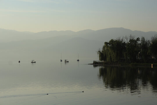 清晨邛海上的渔船和野鸭