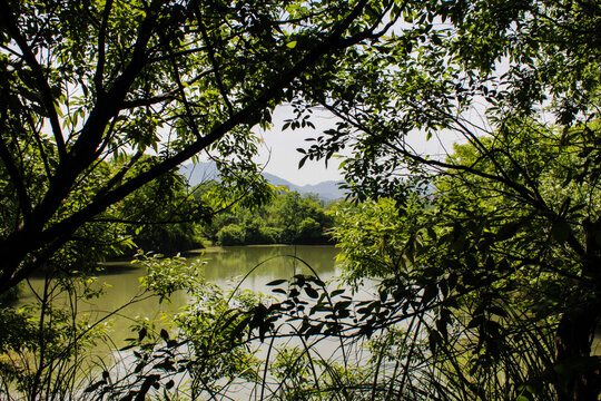 杭州西溪湿地公园风光