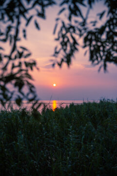 斑驳树影晚风夕阳湖边日落