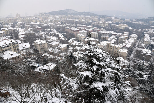青岛冬季雪景
