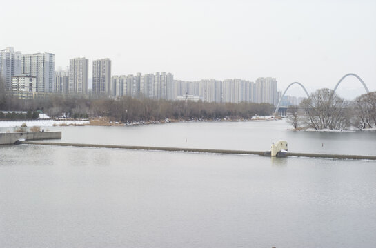 冬日汾河公园