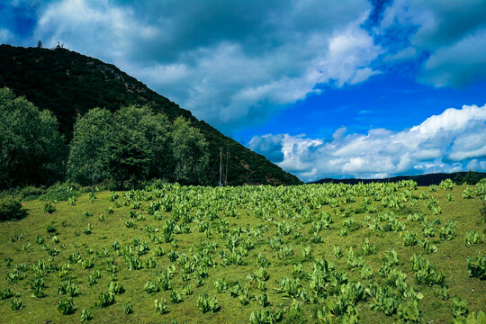 普达措国家公园