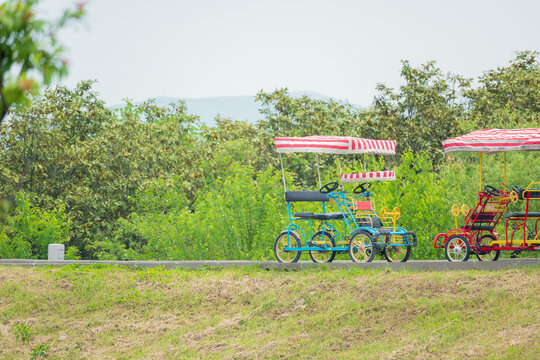 观光自行车