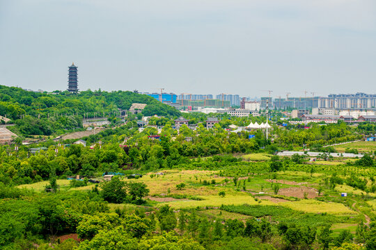 城市绿化