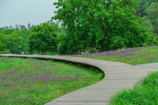 公园小路步道