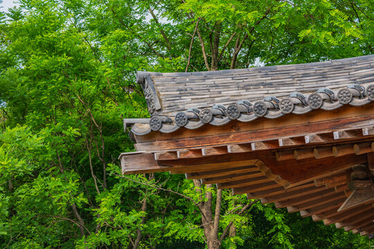 屋檐瓦当