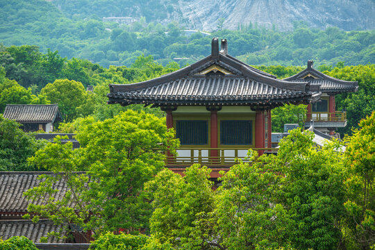 襄阳唐城风光