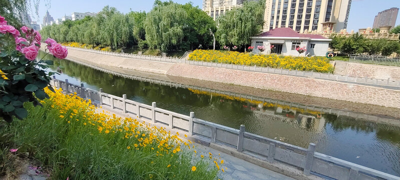 金水河绿化