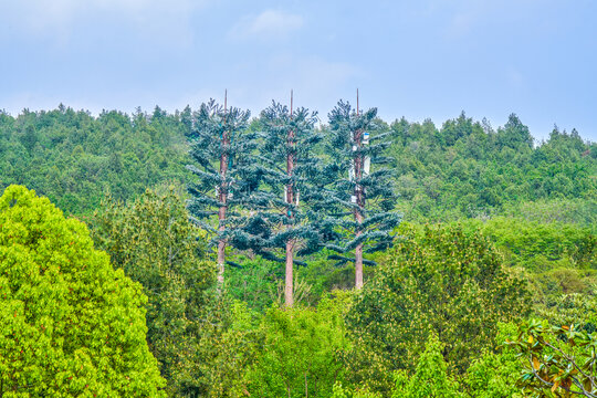 树形无线发射塔