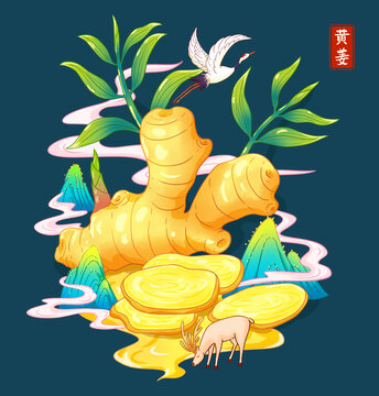 黄姜茶插画包装