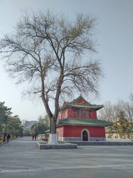 北京地坛公园的黄昏