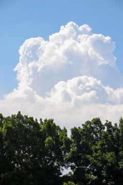蓝天白云树上有大片云朵