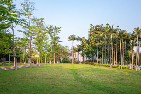 武荣公园草坪
