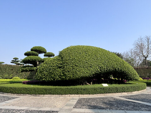 园林景观