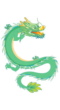 绿色的中国青龙盘龙飞龙