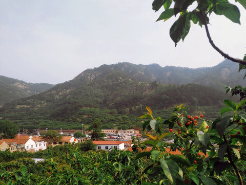山谷