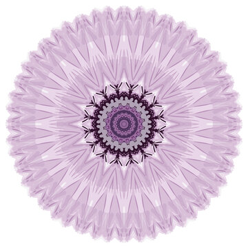 矢量圆形紫色分形印花