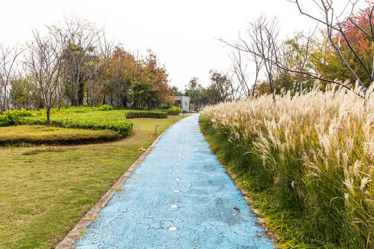 塑胶健身步道