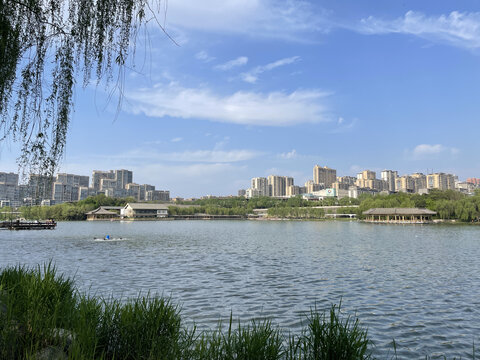西安曲江池城市建筑景观