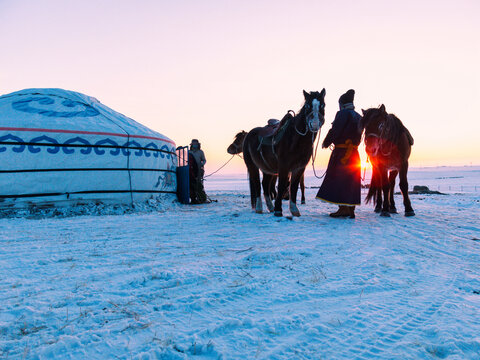 冬季清晨蒙古包蒙古族牵马