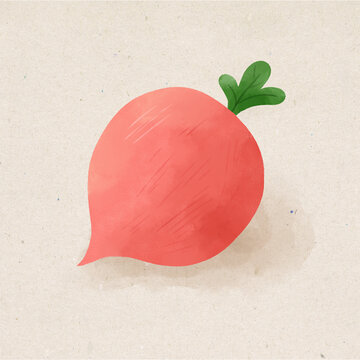 红萝卜水彩插画蔬菜素材