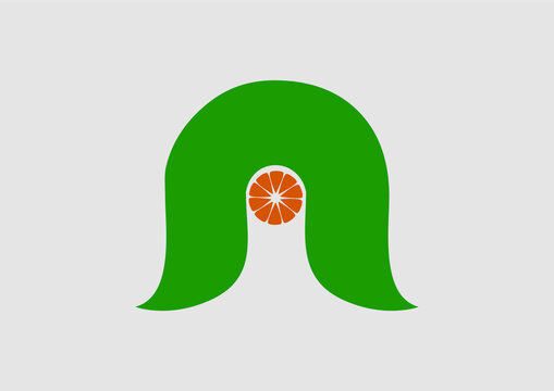 橙子橘子logo标识农产品