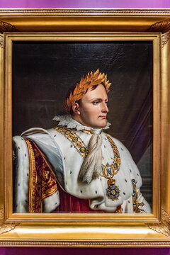 法国着加冕长袍的拿破仑肖像