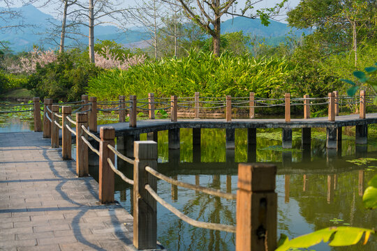 植物园里的水上木制走廊景观