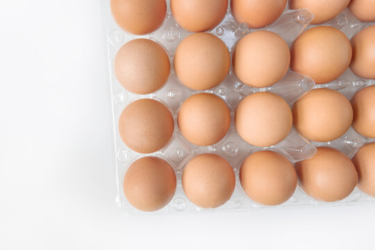 鸡蛋