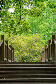 绿色公园木制楼梯