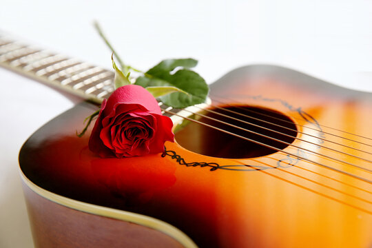 玫瑰花与吉他
