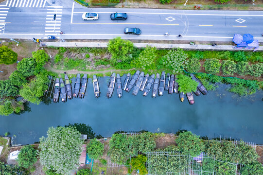 苏州东山枇杷林与小船
