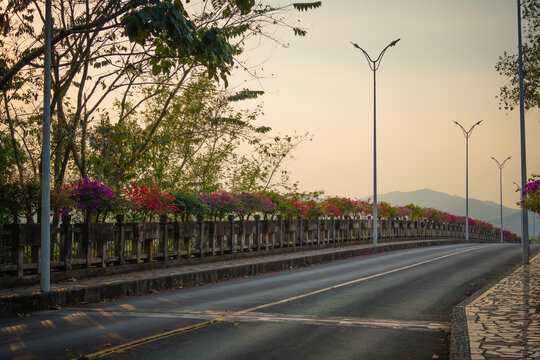 日落时的桥和道路