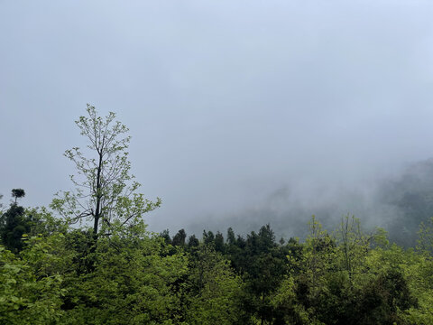 云雾笼罩下的衡山
