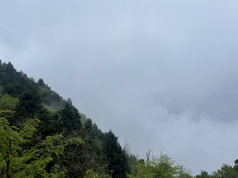 云雾掩盖下的大山
