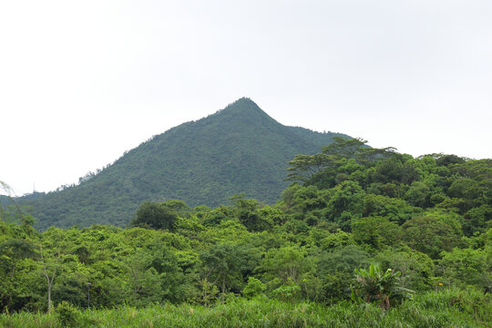 自然风景