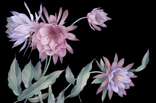 植物花卉数码手绘