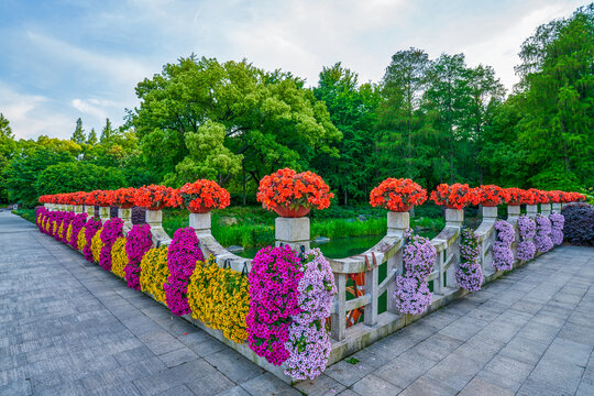 护栏花卉装饰