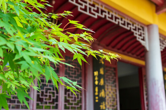 凤鸣寺