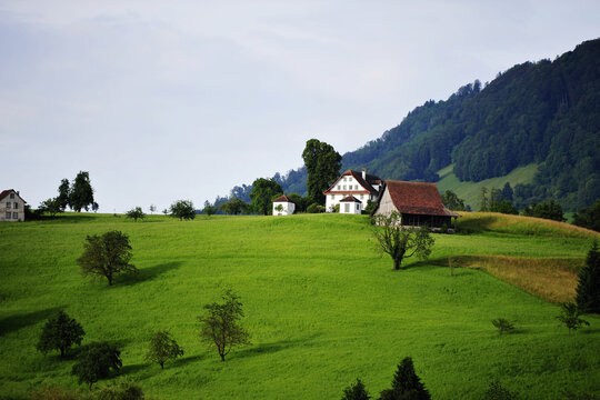 瑞士乡村大草原
