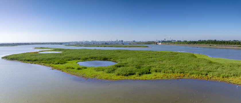 杭州大湾区湿地公园