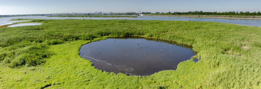 杭州大湾区湿地公园