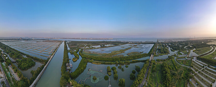 广州南沙湿地公园全景