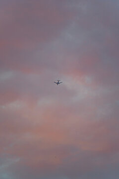 粉色云彩下飞过的飞机