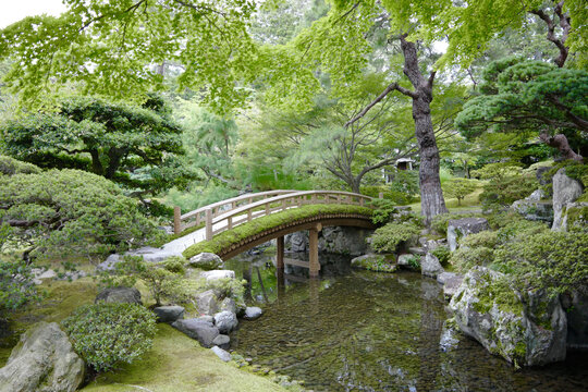 京都的日式庭院与桥