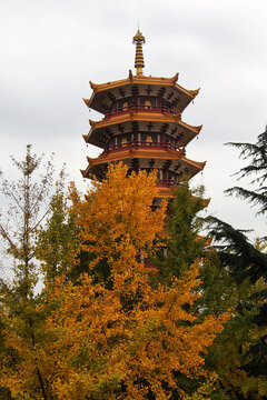 上海七宝教寺塔
