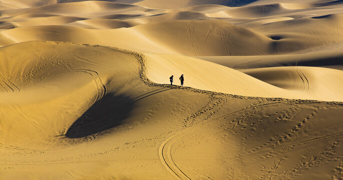 沙漠漫步