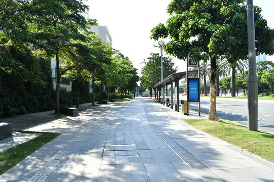 深圳绿化人行道