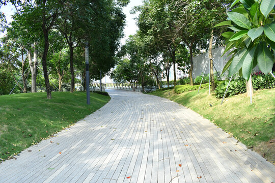 深圳前海的公园绿道